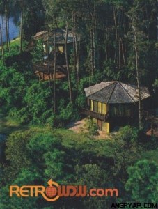 Treehouse Villas