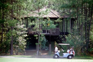 Treehouse Villas and golfers