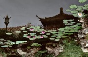 EPCOT-November-1989-Japan-Pavilion-Reflected-on-Koi-Pond