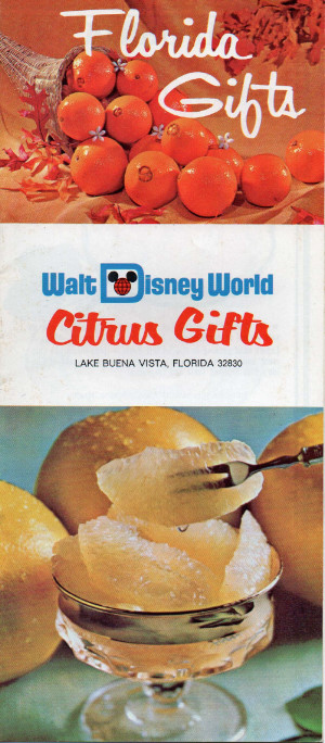Florida Gifts - Walt Disney World Citrus Gifts