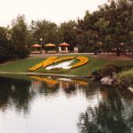 10th Anniversary Flowers in the Magic Kingdom in WDW 1981