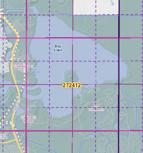 Image showing Discovery Island's location on a survey map
